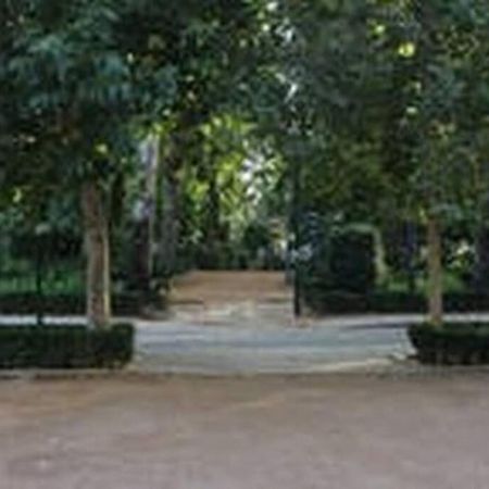 Fabuloso Piso Junto A Paseo De La Bomba Гранада Екстериор снимка