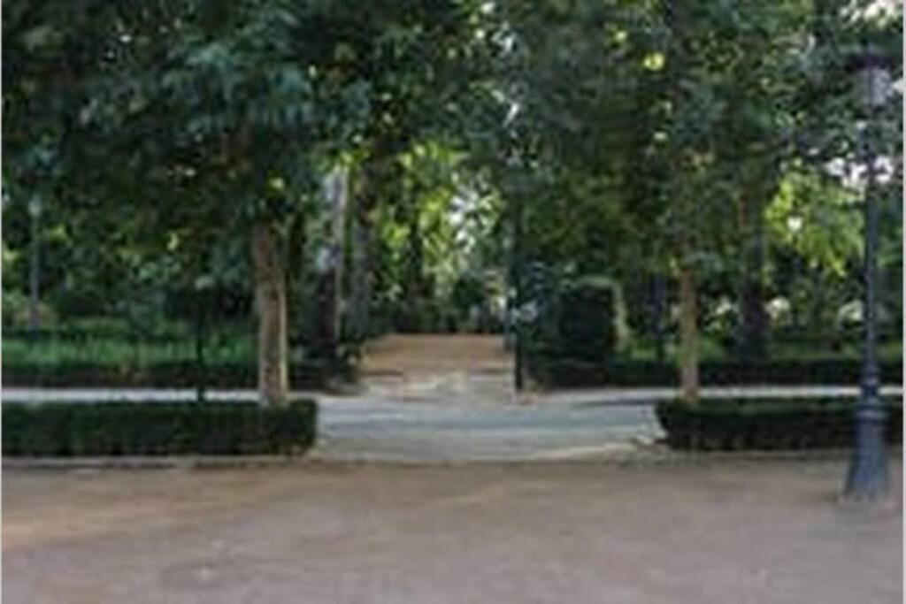 Fabuloso Piso Junto A Paseo De La Bomba Гранада Екстериор снимка