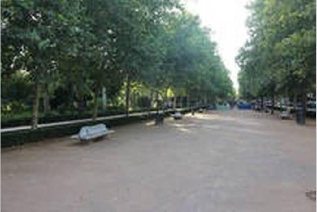 Fabuloso Piso Junto A Paseo De La Bomba Гранада Екстериор снимка